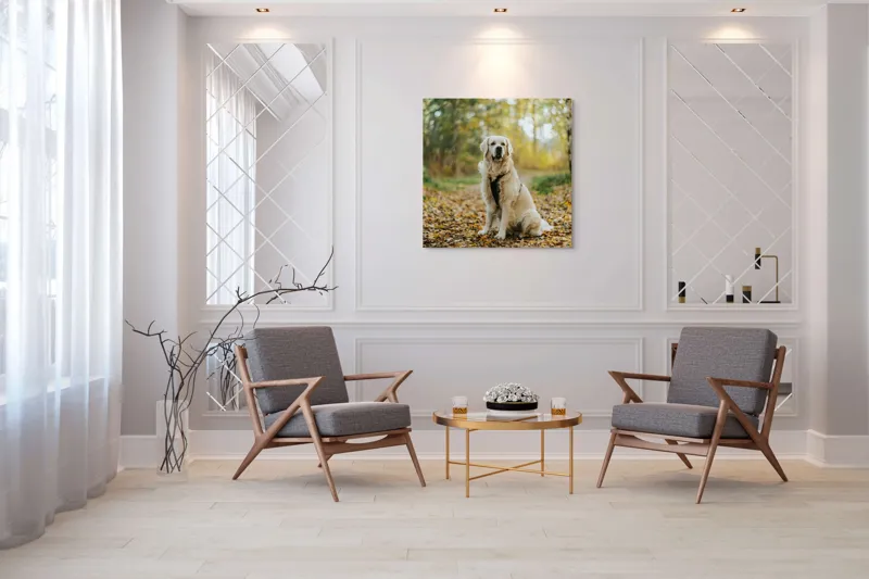 Tablou Canvas, "Câinele pădurar în toamna aurie", Câine, Blond, Pădure, Toamnă, Frunze, Natură, Frumos, Relaxare, Copaci, Lumină., 100 x 100 cm – poza 7
