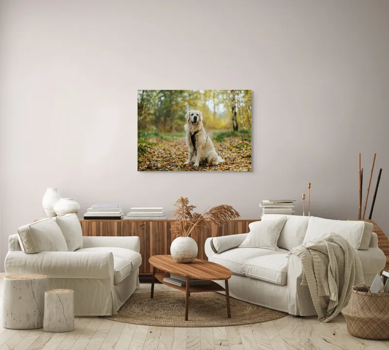 Tablou Canvas, "Câinele pădurar în toamna aurie", Câine, Blond, Pădure, Toamnă, Frunze, Natură, Frumos, Relaxare, Copaci, Lumină., 100 x 70 cm – poza 3