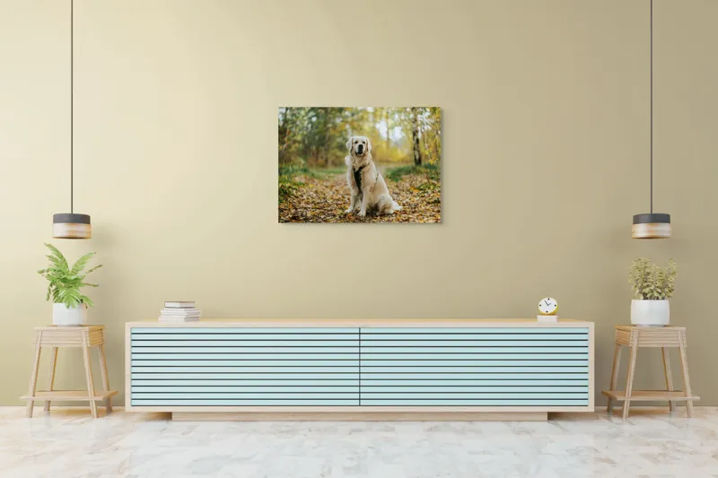 Tablou Canvas, "Câinele pădurar în toamna aurie", Câine, Blond, Pădure, Toamnă, Frunze, Natură, Frumos, Relaxare, Copaci, Lumină., 100 x 70 cm – poza 4