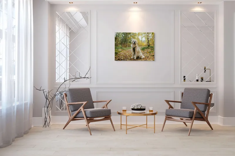 Tablou Canvas, "Câinele pădurar în toamna aurie", Câine, Blond, Pădure, Toamnă, Frunze, Natură, Frumos, Relaxare, Copaci, Lumină., 100 x 70 cm – poza 5