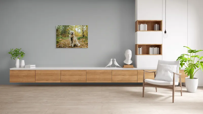 Tablou Canvas, "Câinele pădurar în toamna aurie", Câine, Blond, Pădure, Toamnă, Frunze, Natură, Frumos, Relaxare, Copaci, Lumină., 100 x 70 cm – poza 6