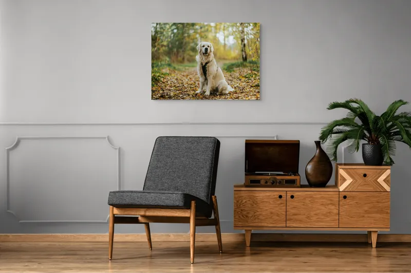 Tablou Canvas, "Câinele pădurar în toamna aurie", Câine, Blond, Pădure, Toamnă, Frunze, Natură, Frumos, Relaxare, Copaci, Lumină., 100 x 70 cm – poza 8