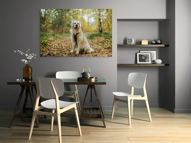 Tablou Canvas, "Câinele pădurar în toamna aurie", Câine, Blond, Pădure, Toamnă, Frunze, Natură, Frumos, Relaxare, Copaci, Lumină., 150 x 100 cm – poza 5