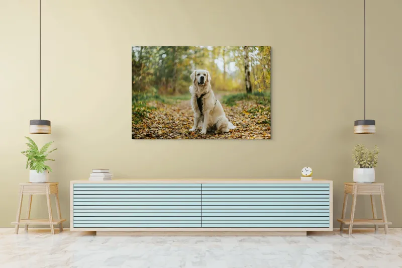 Tablou Canvas, "Câinele pădurar în toamna aurie", Câine, Blond, Pădure, Toamnă, Frunze, Natură, Frumos, Relaxare, Copaci, Lumină., 150 x 100 cm – poza 6