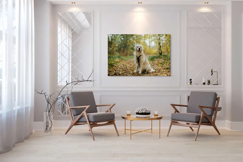 Tablou Canvas, "Câinele pădurar în toamna aurie", Câine, Blond, Pădure, Toamnă, Frunze, Natură, Frumos, Relaxare, Copaci, Lumină., 150 x 100 cm – poza 7