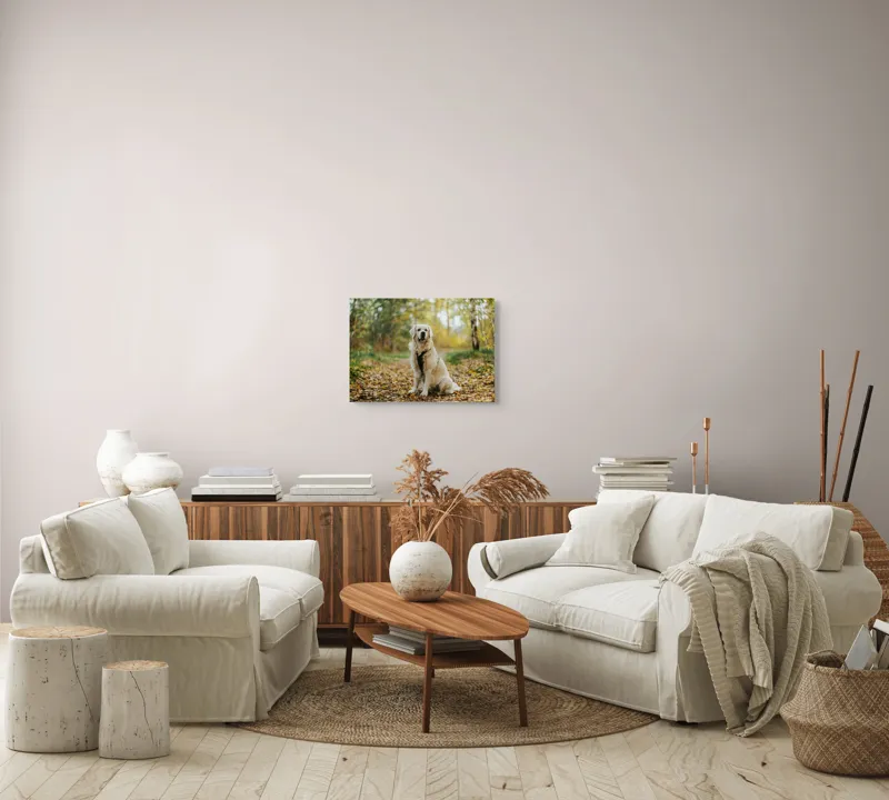 Tablou Canvas, "Câinele pădurar în toamna aurie", Câine, Blond, Pădure, Toamnă, Frunze, Natură, Frumos, Relaxare, Copaci, Lumină., 54 x 39 cm – poza 5