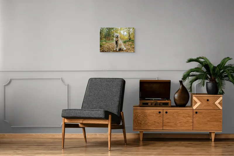 Tablou Canvas, "Câinele pădurar în toamna aurie", Câine, Blond, Pădure, Toamnă, Frunze, Natură, Frumos, Relaxare, Copaci, Lumină., 54 x 39 cm – poza 7