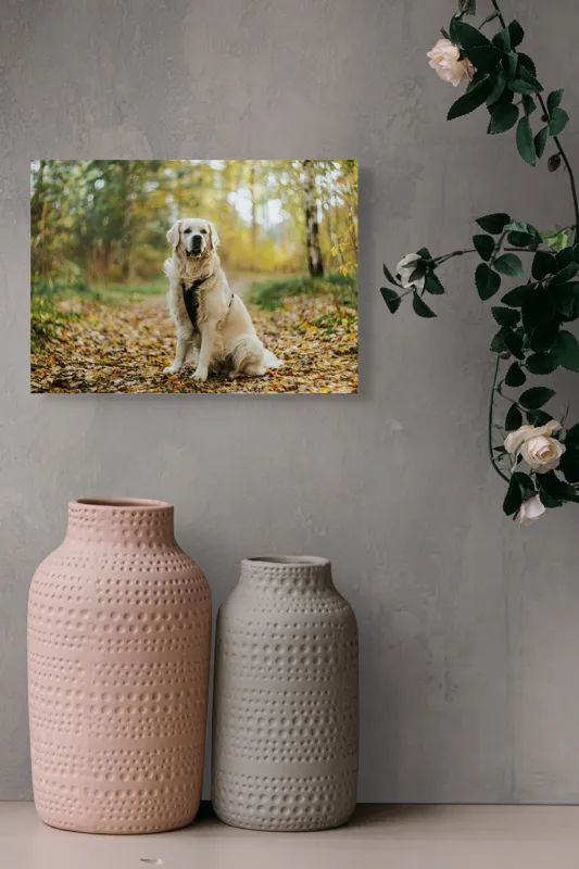 Tablou Canvas, "Câinele pădurar în toamna aurie", Câine, Blond, Pădure, Toamnă, Frunze, Natură, Frumos, Relaxare, Copaci, Lumină., 54 x 39 cm – poza 8