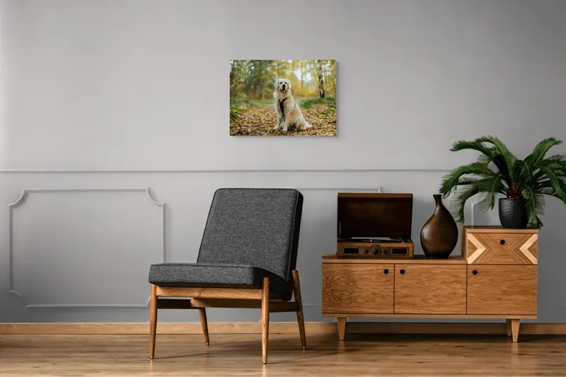 Tablou Canvas, "Câinele pădurar în toamna aurie", Câine, Blond, Pădure, Toamnă, Frunze, Natură, Frumos, Relaxare, Copaci, Lumină., 70 x 50 cm – poza 4