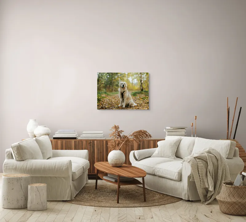 Tablou Canvas, "Câinele pădurar în toamna aurie", Câine, Blond, Pădure, Toamnă, Frunze, Natură, Frumos, Relaxare, Copaci, Lumină., 70 x 50 cm – poza 6