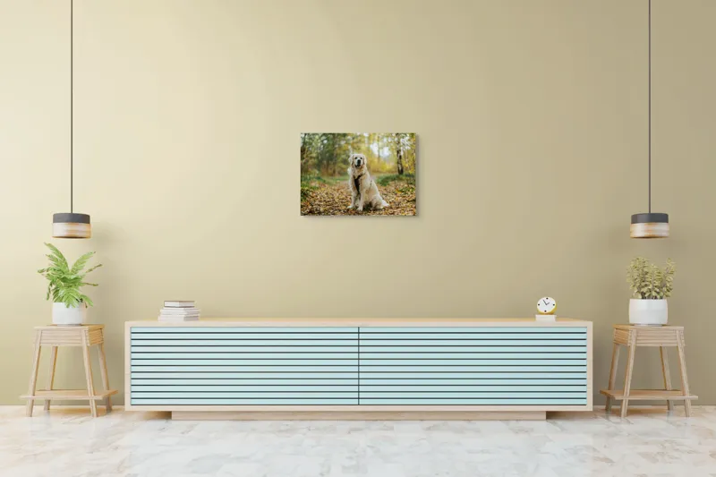 Tablou Canvas, "Câinele pădurar în toamna aurie", Câine, Blond, Pădure, Toamnă, Frunze, Natură, Frumos, Relaxare, Copaci, Lumină., 70 x 50 cm – poza 7
