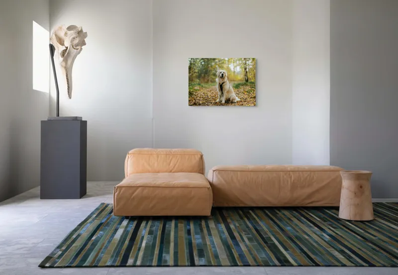 Tablou Canvas, "Câinele pădurar în toamna aurie", Câine, Blond, Pădure, Toamnă, Frunze, Natură, Frumos, Relaxare, Copaci, Lumină., 70 x 50 cm – poza 8