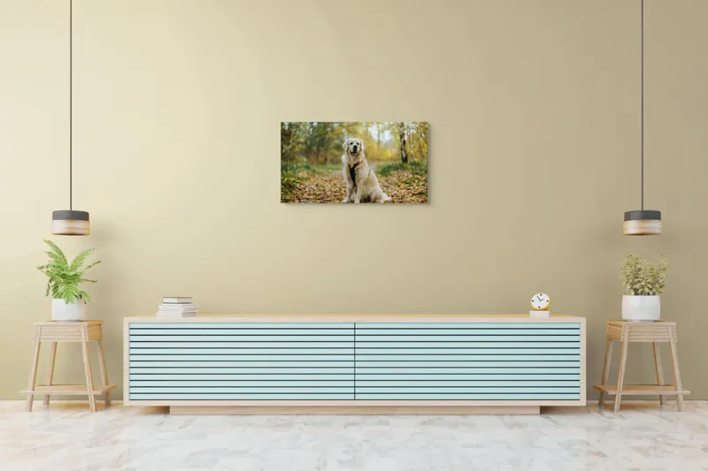 Tablou Canvas, "Câinele pădurar în toamna aurie", Câine, Blond, Pădure, Toamnă, Frunze, Natură, Frumos, Relaxare, Copaci, Lumină., 90 x 50 cm – poza 5