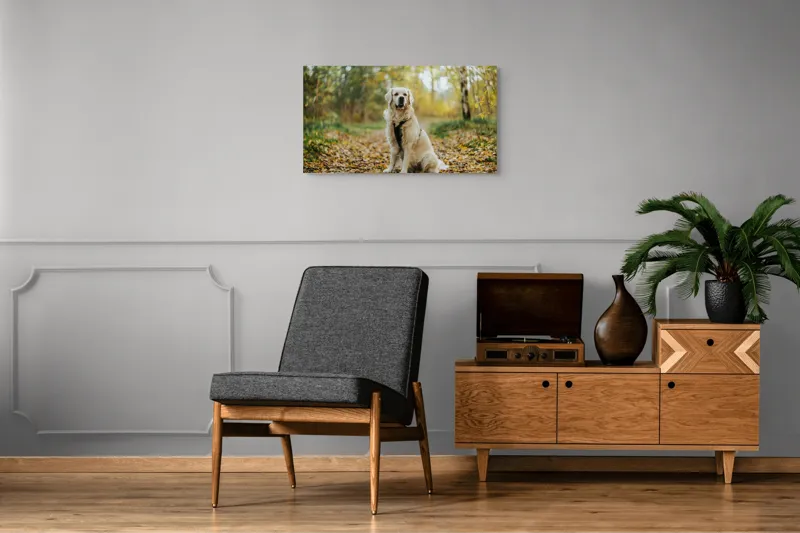 Tablou Canvas, "Câinele pădurar în toamna aurie", Câine, Blond, Pădure, Toamnă, Frunze, Natură, Frumos, Relaxare, Copaci, Lumină., 90 x 50 cm – poza 6