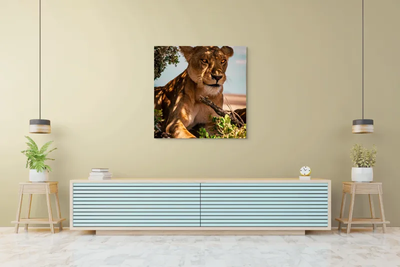 Tablou Canvas, "Leoaica sub umbra unui copac", Nu pot spune cine este în această imagine., 100 x 100 cm – poza 5