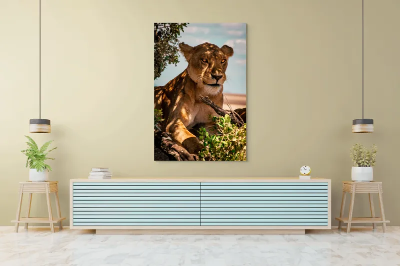 Tablou Canvas, "Leoaica sub umbra unui copac", Nu pot spune cine este în această imagine., 100 x 150 cm – poza 4