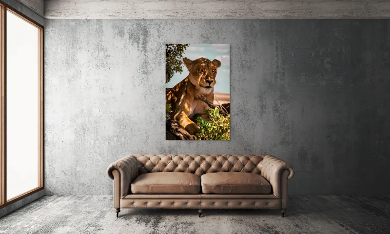 Tablou Canvas, "Leoaica sub umbra unui copac", Nu pot spune cine este în această imagine., 100 x 150 cm – poza 6