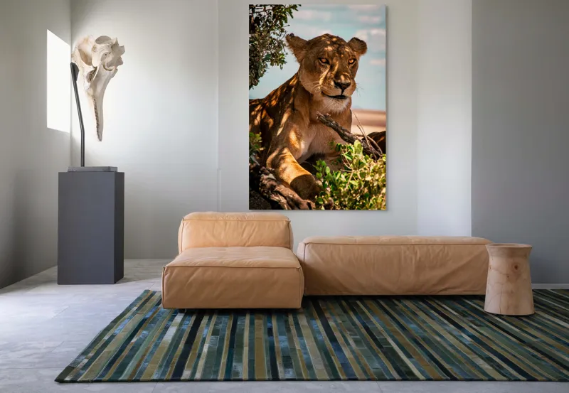 Tablou Canvas, "Leoaica sub umbra unui copac", Nu pot spune cine este în această imagine., 100 x 150 cm – poza 7