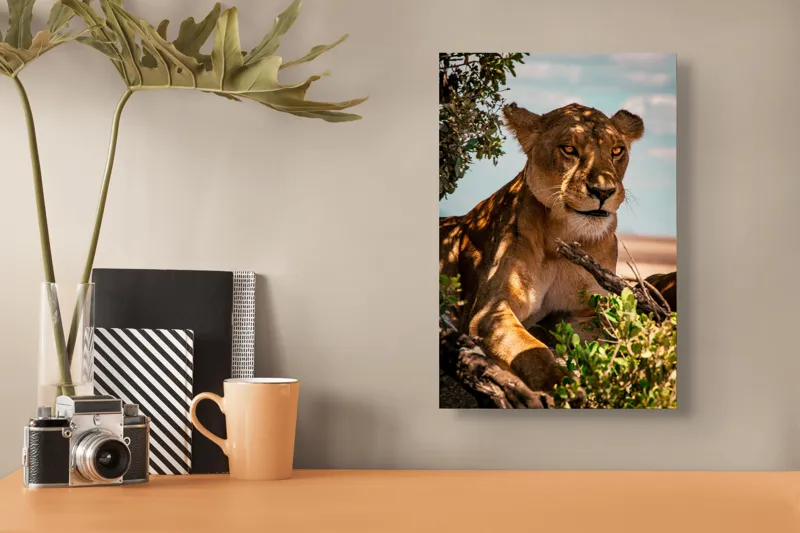 Tablou Canvas, "Leoaica sub umbra unui copac", Nu pot spune cine este în această imagine., 26 x 39 cm – poza 3