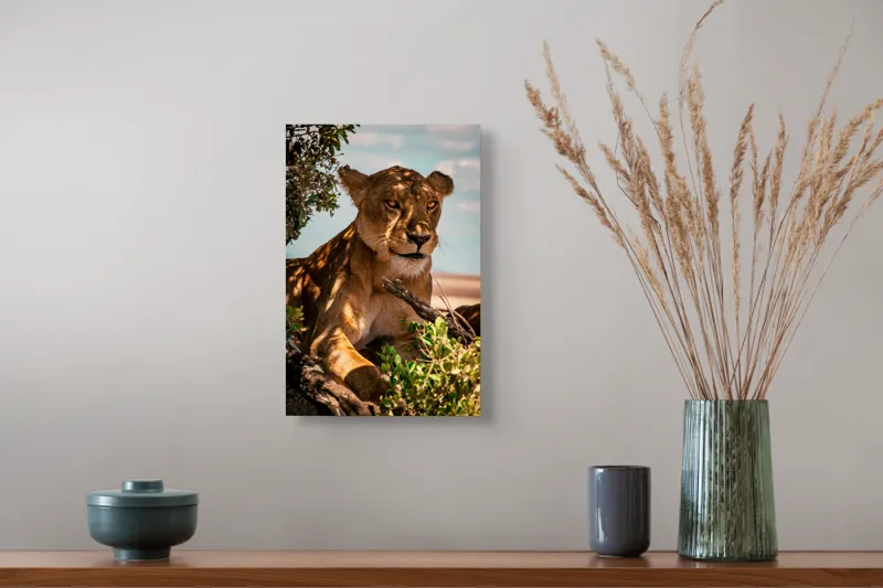 Tablou Canvas, "Leoaica sub umbra unui copac", Nu pot spune cine este în această imagine., 26 x 39 cm – poza 5