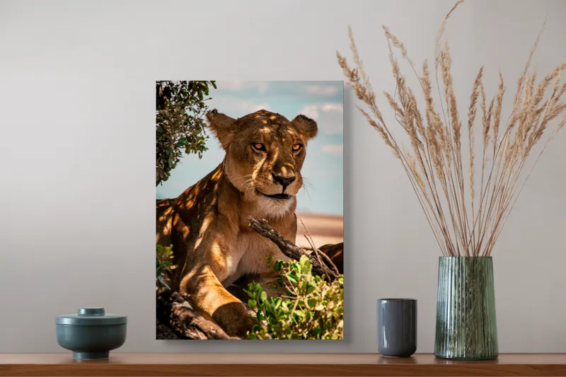 Tablou Canvas, "Leoaica sub umbra unui copac", Nu pot spune cine este în această imagine., 39 x 54 cm – poza 3