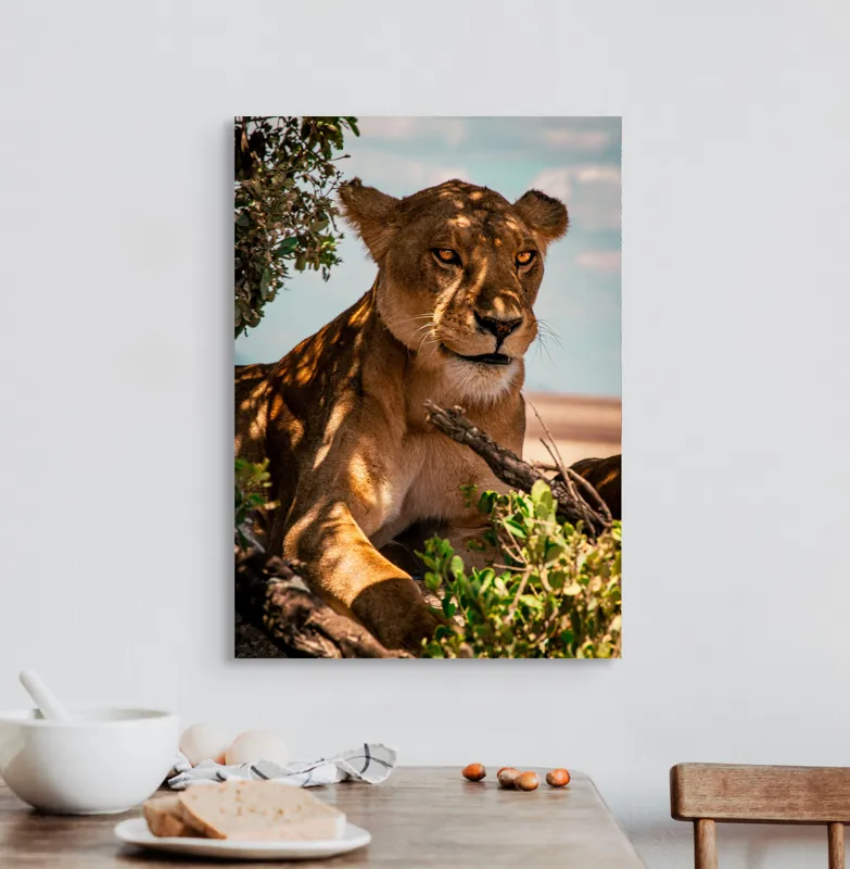 Tablou Canvas, "Leoaica sub umbra unui copac", Nu pot spune cine este în această imagine., 50 x 70 cm – poza 3