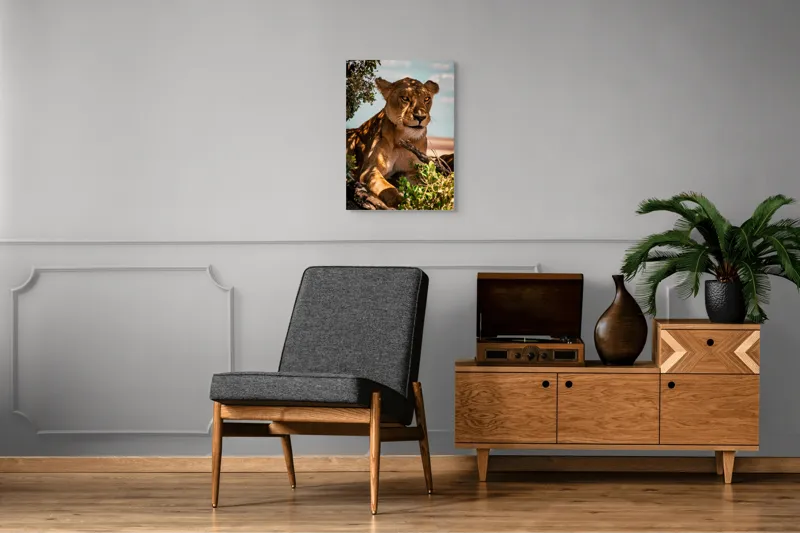Tablou Canvas, "Leoaica sub umbra unui copac", Nu pot spune cine este în această imagine., 50 x 70 cm – poza 8