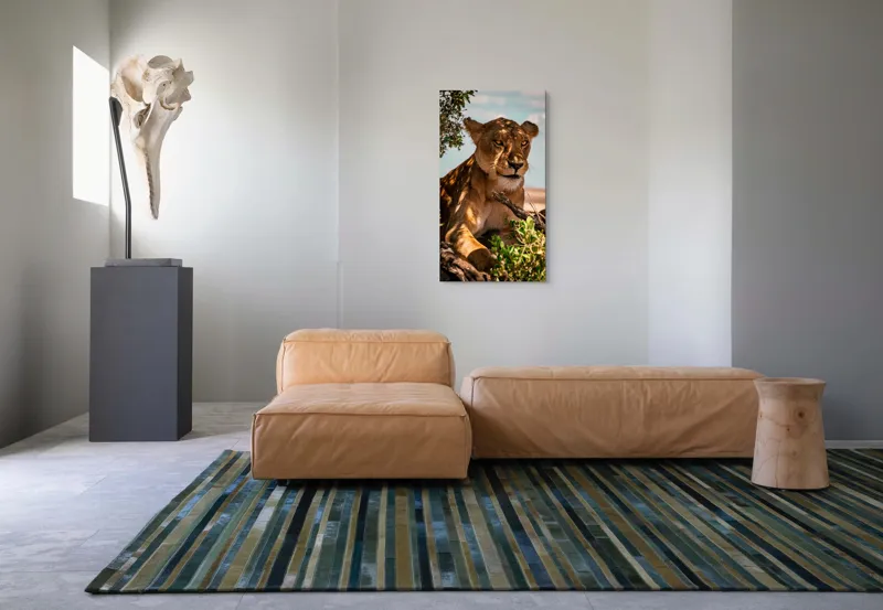 Tablou Canvas, "Leoaica sub umbra unui copac", Nu pot spune cine este în această imagine., 50 x 90 cm – poza 5