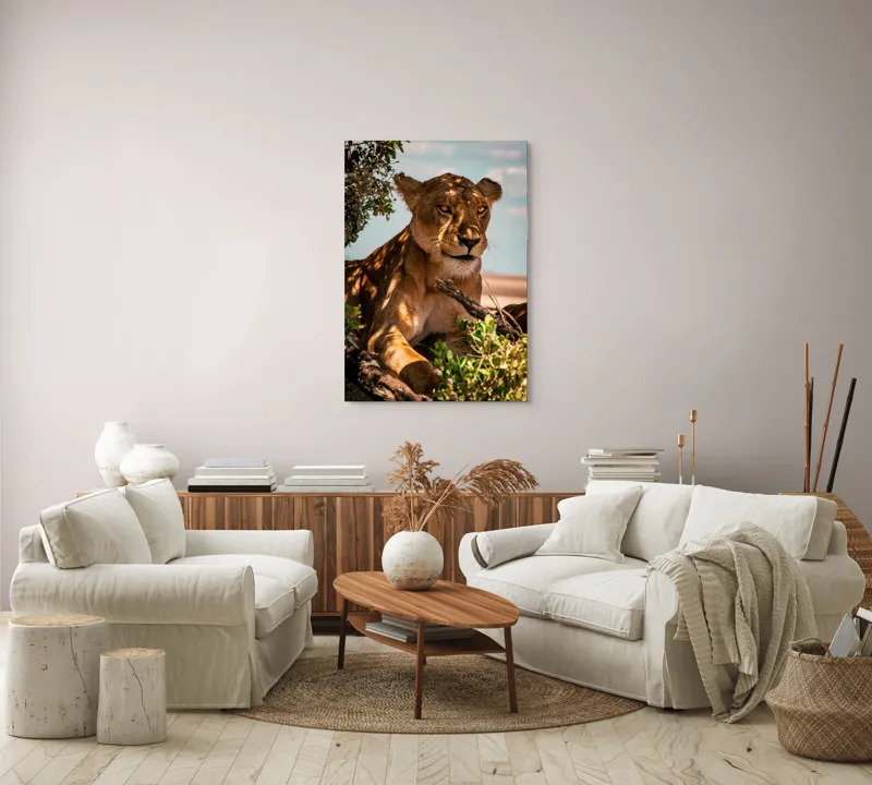 Tablou Canvas, "Leoaica sub umbra unui copac", Nu pot spune cine este în această imagine., 70 x 100 cm – poza 4