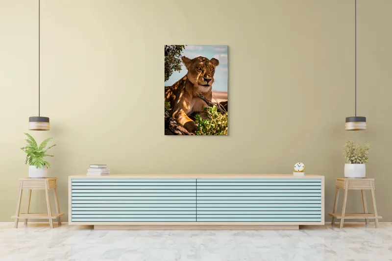 Tablou Canvas, "Leoaica sub umbra unui copac", Nu pot spune cine este în această imagine., 70 x 100 cm – poza 5