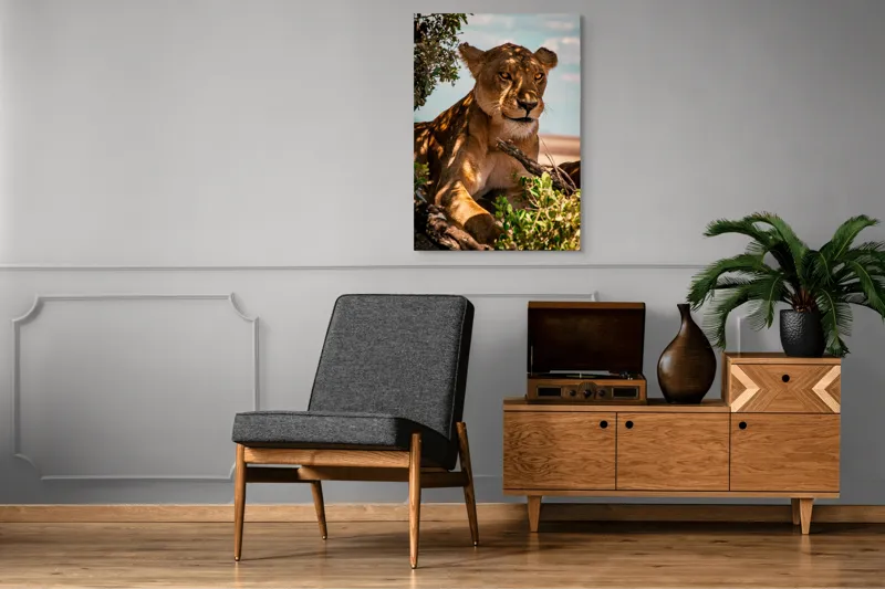 Tablou Canvas, "Leoaica sub umbra unui copac", Nu pot spune cine este în această imagine., 70 x 100 cm – poza 6