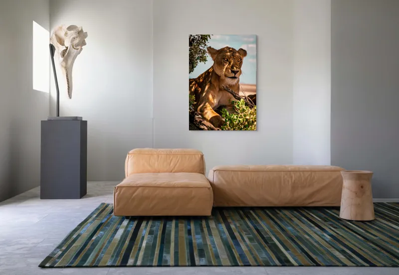 Tablou Canvas, "Leoaica sub umbra unui copac", Nu pot spune cine este în această imagine., 70 x 100 cm – poza 7