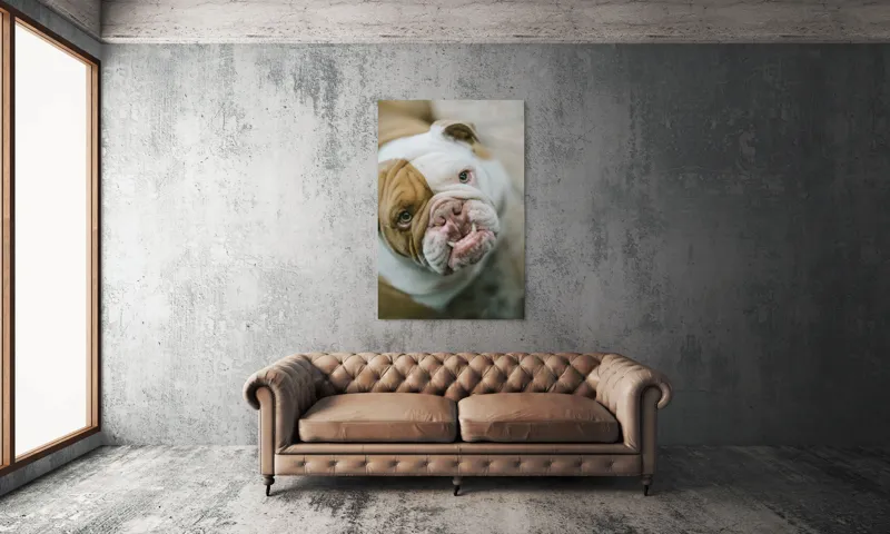Tablou Canvas, "Prietenie prin privire expresivă", Nu pot să spun cine este în imagine., 100 x 150 cm – poza 6