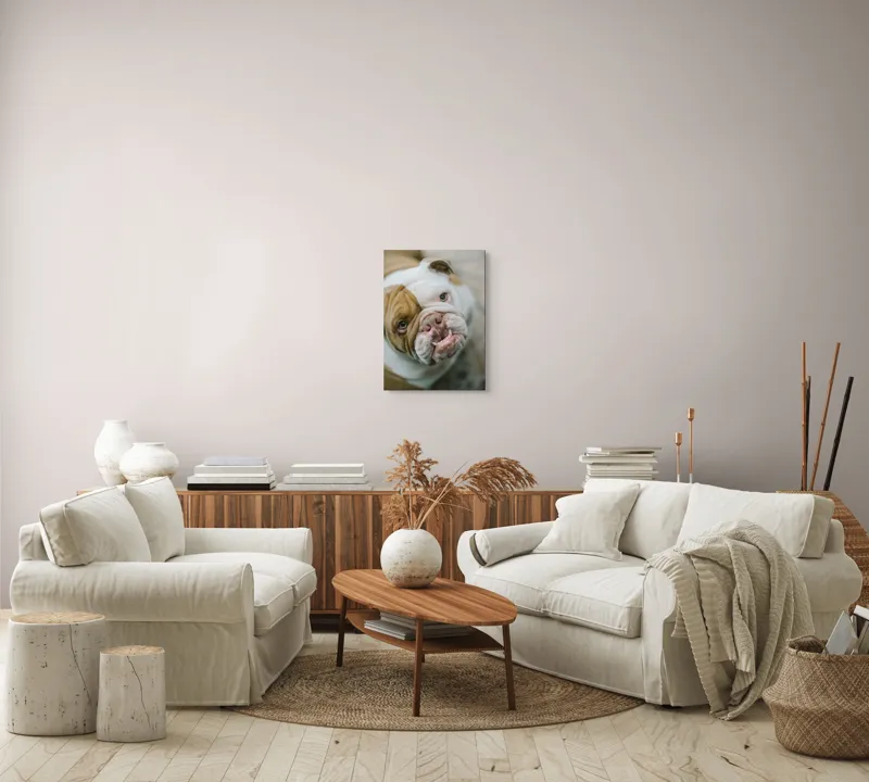 Tablou Canvas, "Prietenie prin privire expresivă", 39 x 54 cm – poza 5