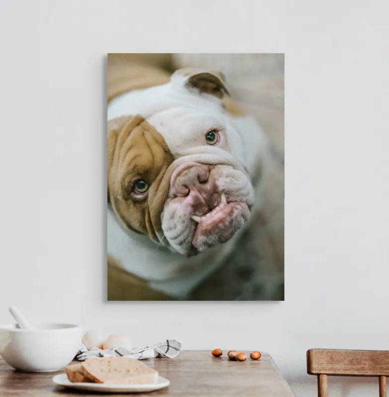 Tablou Canvas, "Prietenie prin privire expresivă", Nu pot să spun cine este în imagine., 50 x 70 cm – poza 3