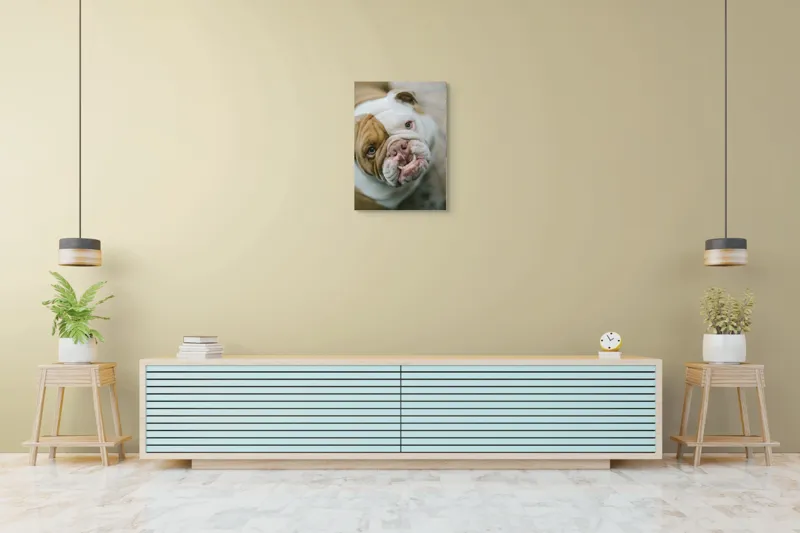Tablou Canvas, "Prietenie prin privire expresivă", Nu pot să spun cine este în imagine., 50 x 70 cm – poza 6