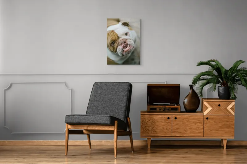 Tablou Canvas, "Prietenie prin privire expresivă", Nu pot să spun cine este în imagine., 50 x 70 cm – poza 8