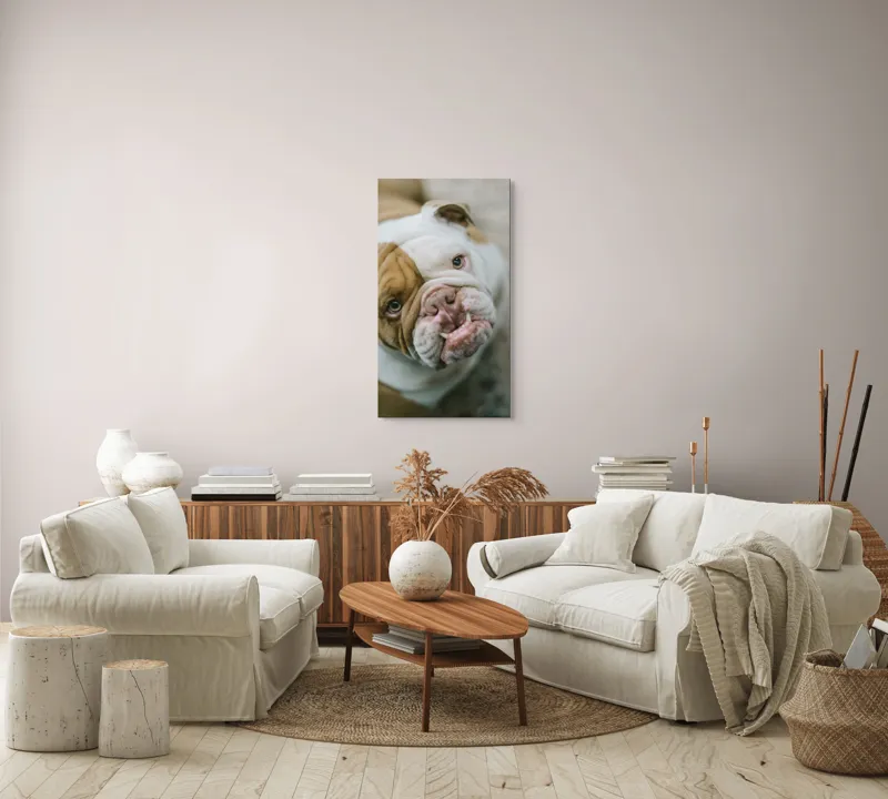 Tablou Canvas, "Prietenie prin privire expresivă", 50 x 90 cm – poza 7