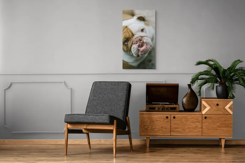 Tablou Canvas, "Prietenie prin privire expresivă", 50 x 90 cm – poza 8