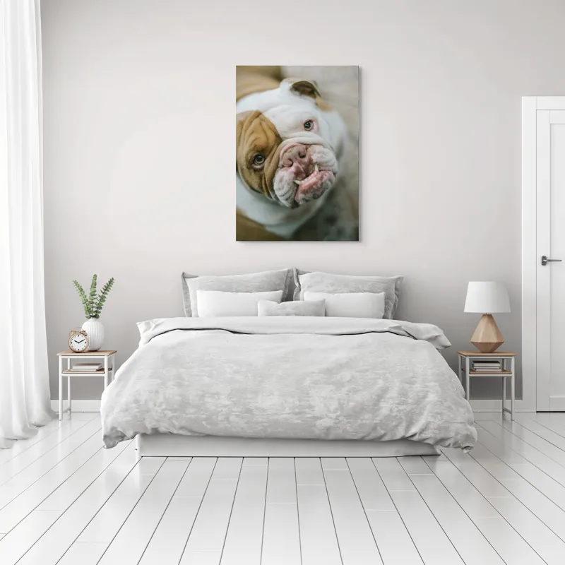 Tablou Canvas, "Prietenie prin privire expresivă", 70 x 100 cm – poza 3