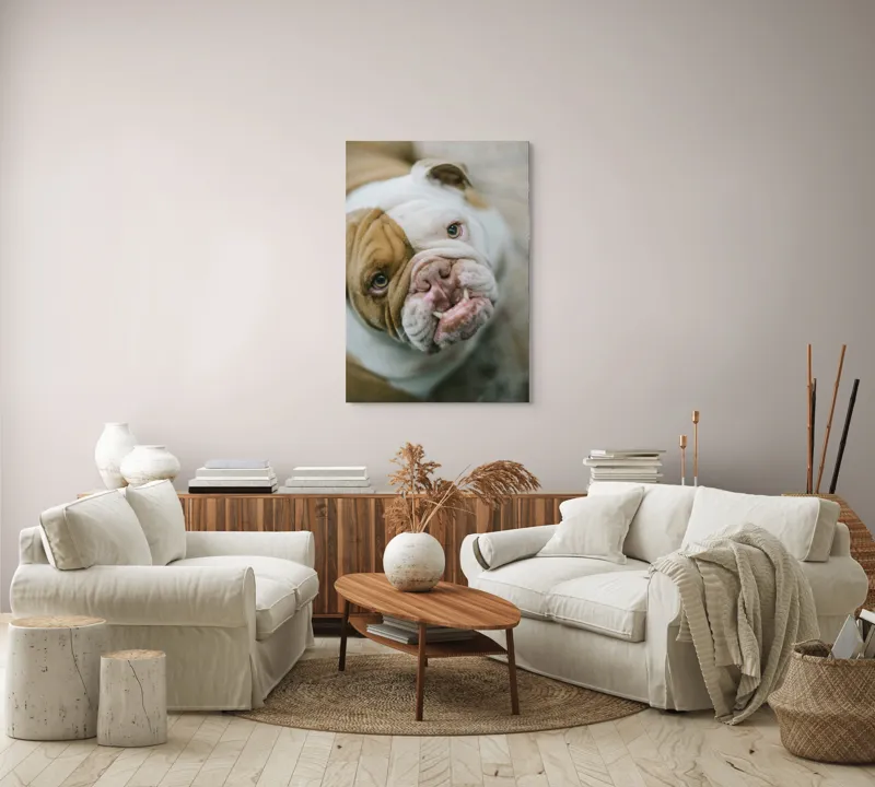 Tablou Canvas, "Prietenie prin privire expresivă", 70 x 100 cm – poza 4