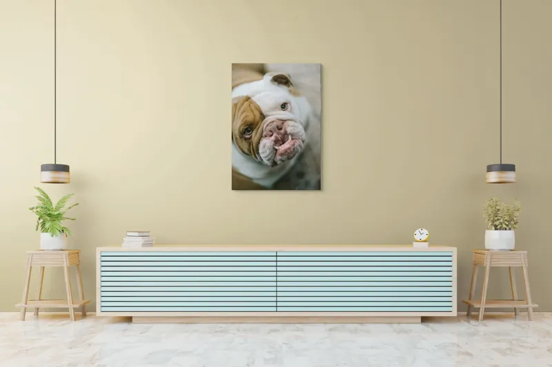 Tablou Canvas, "Prietenie prin privire expresivă", 70 x 100 cm – poza 5