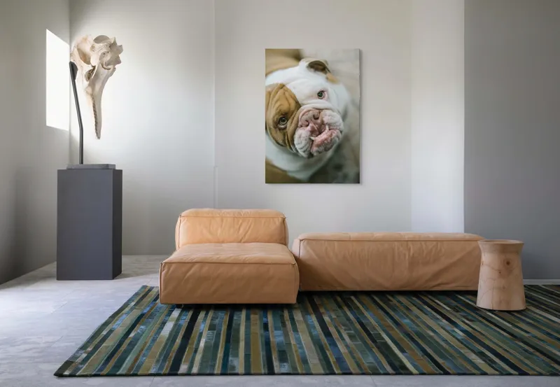 Tablou Canvas, "Prietenie prin privire expresivă", 70 x 100 cm – poza 7