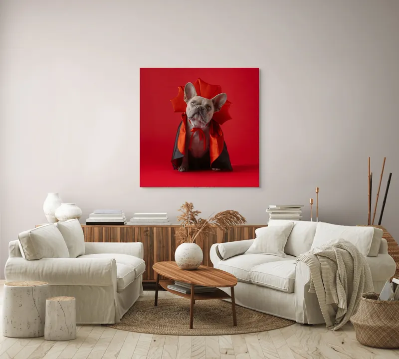 Tablou Canvas, "Bulldog gotic în mantie roșie", Scenă, Câine, Costum, Halloween, Fundal, Roșu, Pelerină, Aripi, Dracula, Drăgălaș., 100 x 100 cm – poza 3