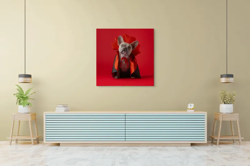 Tablou Canvas, "Bulldog gotic în mantie roșie", Scenă, Câine, Costum, Halloween, Fundal, Roșu, Pelerină, Aripi, Dracula, Drăgălaș., 100 x 100 cm – poza 5