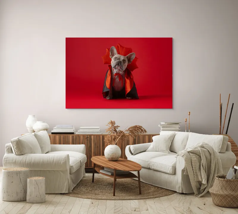 Tablou Canvas, "Bulldog gotic în mantie roșie", Scenă, Câine, Costum, Halloween, Fundal, Roșu, Pelerină, Aripi, Dracula, Drăgălaș., 150 x 100 cm – poza 3