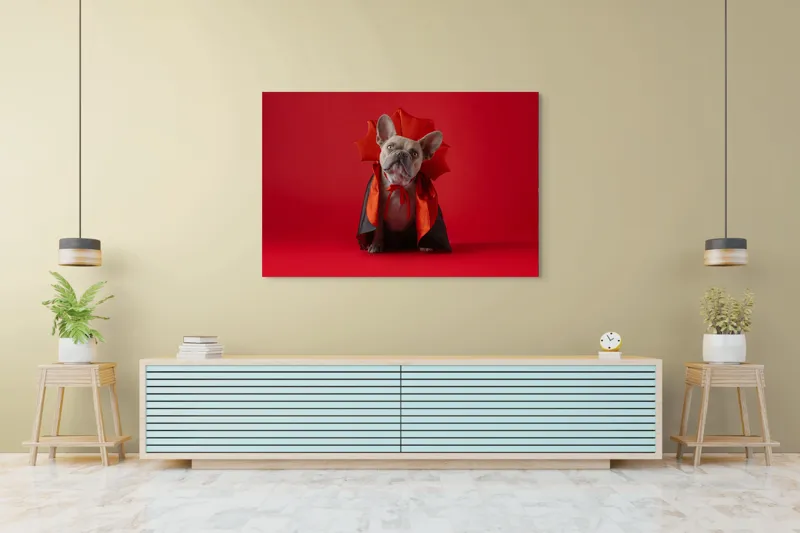 Tablou Canvas, "Bulldog gotic în mantie roșie", Scenă, Câine, Costum, Halloween, Fundal, Roșu, Pelerină, Aripi, Dracula, Drăgălaș., 150 x 100 cm – poza 6