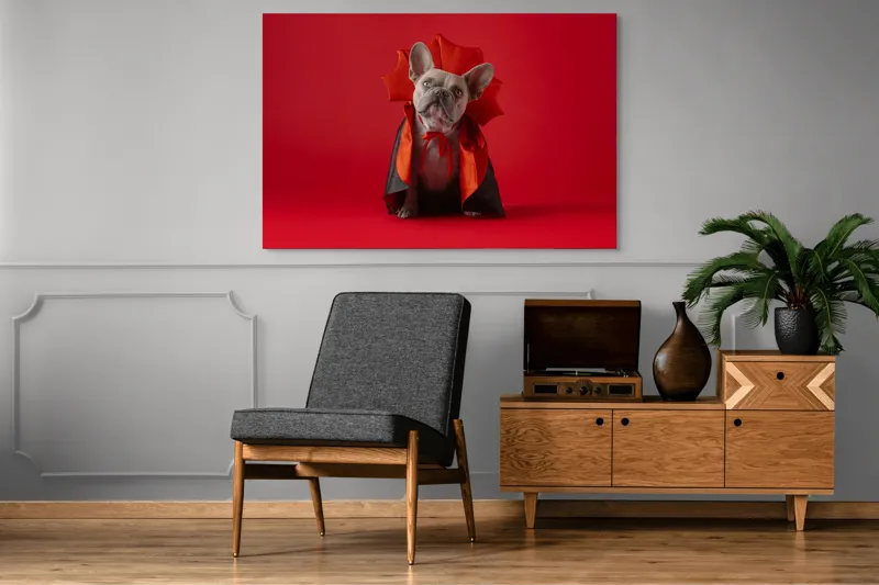 Tablou Canvas, "Bulldog gotic în mantie roșie", Scenă, Câine, Costum, Halloween, Fundal, Roșu, Pelerină, Aripi, Dracula, Drăgălaș., 150 x 100 cm – poza 8
