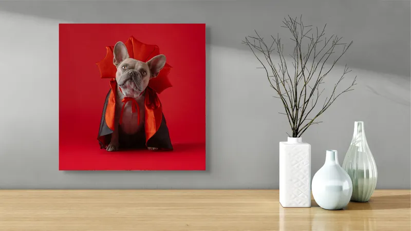 Tablou Canvas, "Bulldog gotic în mantie roșie", Scenă, Câine, Costum, Halloween, Fundal, Roșu, Pelerină, Aripi, Dracula, Drăgălaș., 50 x 50 cm – poza 3