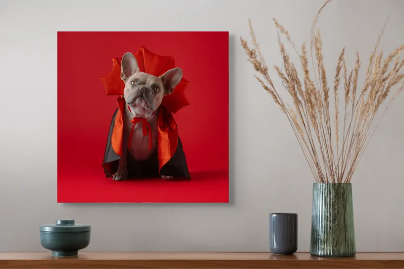 Tablou Canvas, "Bulldog gotic în mantie roșie", Scenă, Câine, Costum, Halloween, Fundal, Roșu, Pelerină, Aripi, Dracula, Drăgălaș., 50 x 50 cm – poza 4